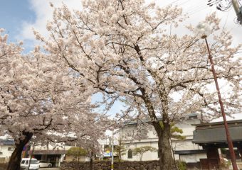 第65回入園式…平成30年4月11日（水）