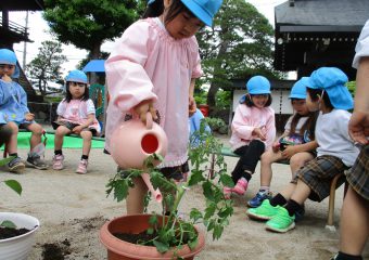 おおきくなあれ🌱