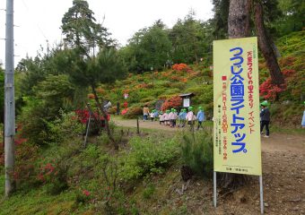 つつじ公園に行きました