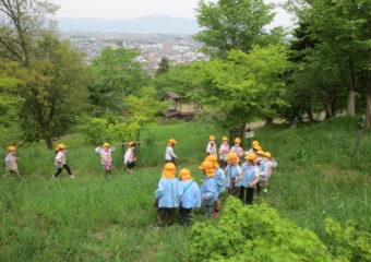 春を探しに…舞鶴山でみつけたよ