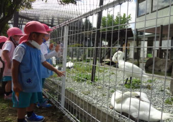 楽しかった動物園🌷