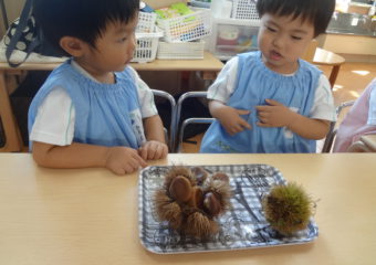 栗拾い🌰からの保育