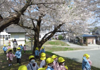 🌼こばとぐみの一週間🌼