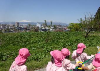 お散歩の様子🌷