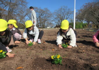 天童公園フラワーメイト🌷年中組🤗